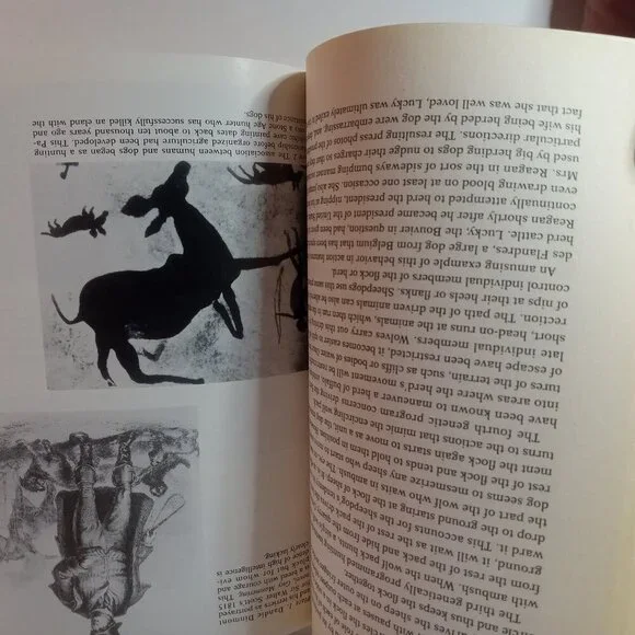 The Intelligence of Dogs by Coren, Stanley , Paperback - Picture 5 of 6